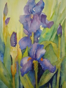 Iris in blue 001
